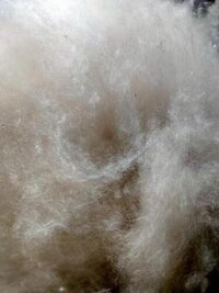 Indonesian Kapok Fibre Superfine Seemal - 100% Cotton, 25 Kg Bale , Grade A, Seedless, Milky White Color, Ideal For Pillow Stuffing