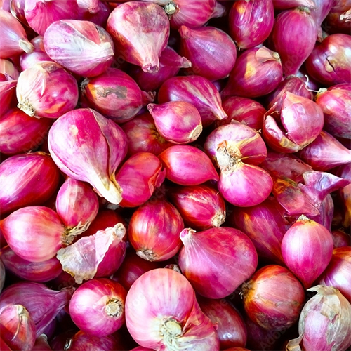 Shallots ( Small Onion) Moisture () 7090 at Best Price in Sitapur