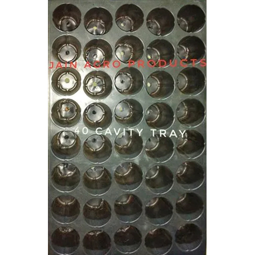 40 Cavity Black Seedling Tray