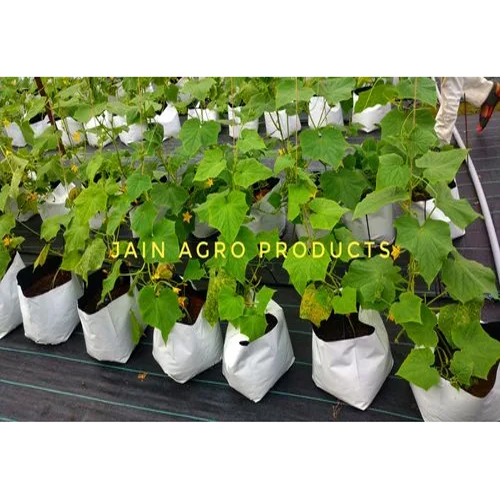 Agriculture Grow Bags