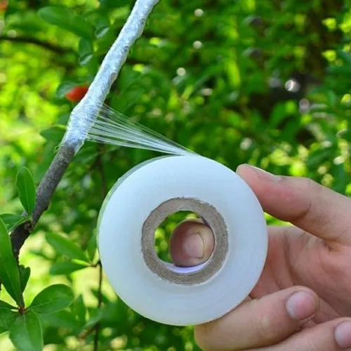 Agriculture Grafting Tape