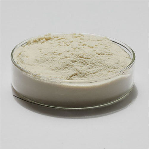 Amino Acid Pharmaceutical Grade