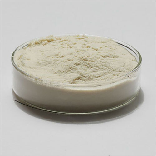 Amino Acid