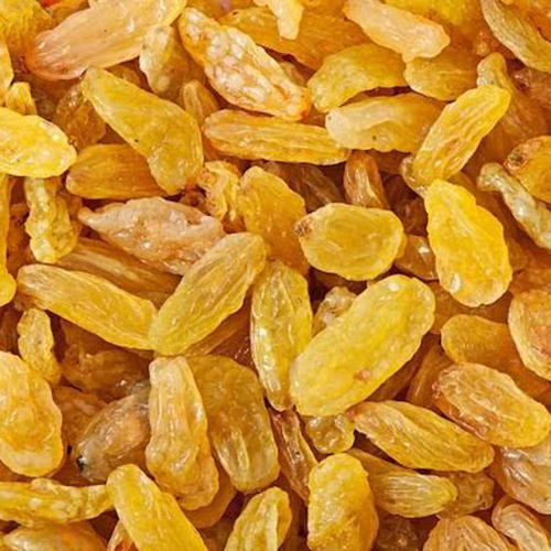 Common Golden Dry Raisin