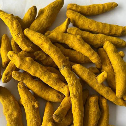 Fresh Natural Turmeric Stick