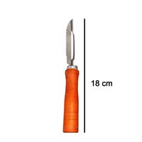 Wooden Handle and Stainless Steel Vegetable Peeler (2455)