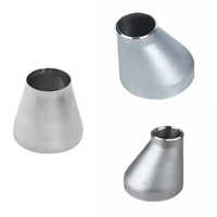 Stainless Steel Reducer Fitting 310