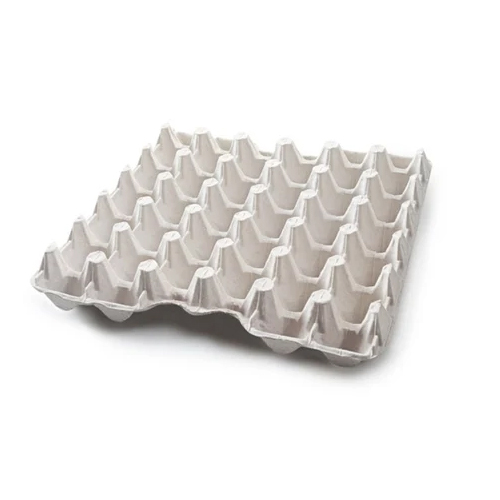 White Paper Egg Tray at Best Price in Chakan Swamharsh Enterprises