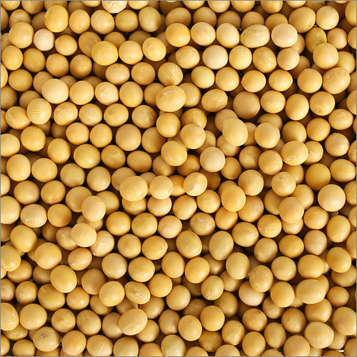 Soya Bean Packaging: Can (Tinned)