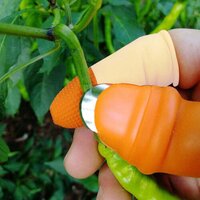 1 Pair V Thumb Cutter With Box - Rubber & Stainless Steel, 4x4x6 Cm, Multi-color | Ideal For Peeling And Cutting Various Vegetables & Fruits