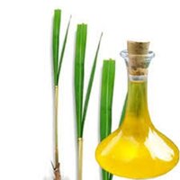Ginger Grass Oil - 99% Pure, Yellow To Light Brown Liquid | Natural Essential Oil For Headache Relief, Mood Enhancement, And Muscle Relaxation