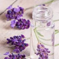 Lavender Hydrosol - Odour: Warm