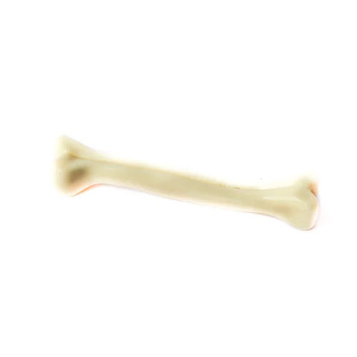 Medium Size Dog Nylon Bone