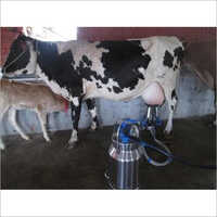 Silver Automatic Milking Machine