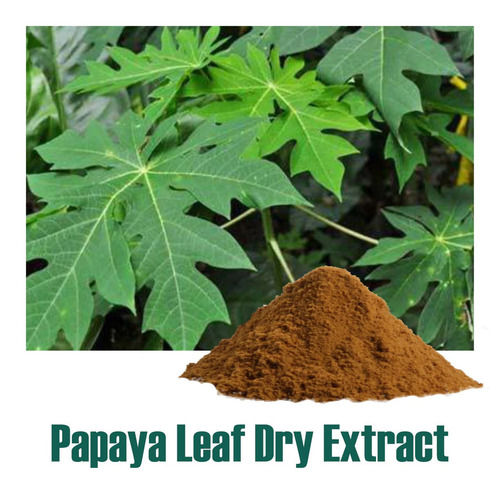 Carica Papaya Extract Grade: A