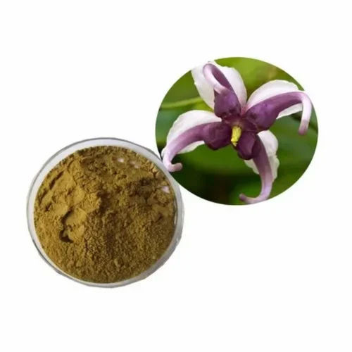 Ivy Leaf Extract