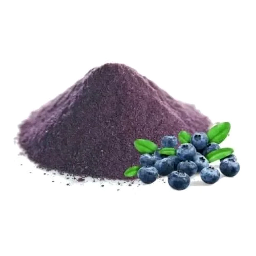 Purple Herbal Blueberry Powder at Best Price in New Delhi Natural Hub