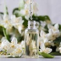 Jasmine Hydrosol Oil - Odour: Warm