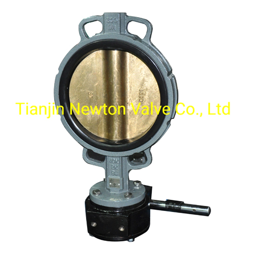 Wafer Lug Mono Double Flanged High Performance Butterfly Valve