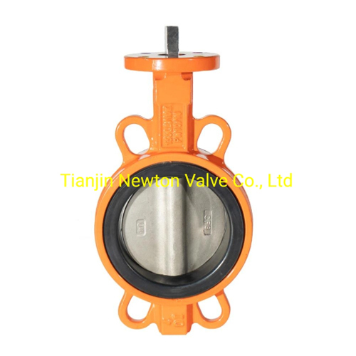 Ductile Iron Carbon Steel Stainless Steel Through Shaft with Pin Half Shaft Butterfly Valve