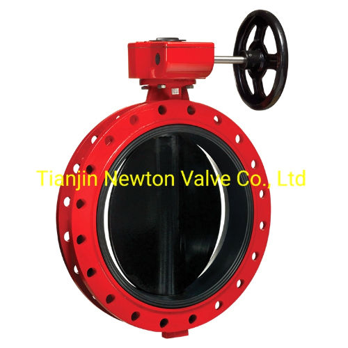 API609 U Type U Section Flange Double Flanged Butterfly Valve