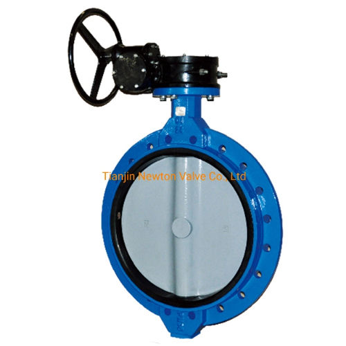 Double Flange Double Use Concentric Structure Design Butterfly Valve