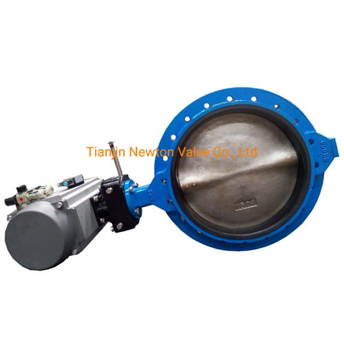 DN300 Flanged Worm Drive Single Butterfly Valve