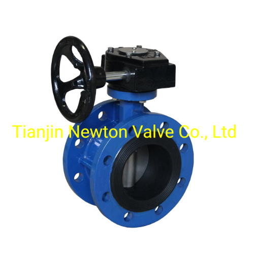 Gear Operator PTFE Lined Ductile Cast Iron Concentric Double Flange Butterfly Valve