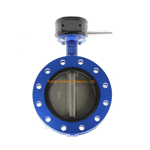 Stainless Steel Valves Double Flange Butterfly Valve