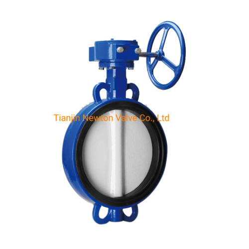 EPDM Seat Stainless Steel Ductile Iron Lever Butterfly Valve