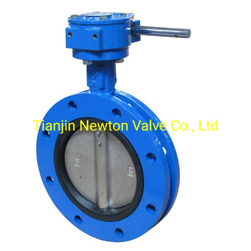 Manual Worm Gear Soft Seal Ductile Iron Double Flange Butterfly Valve