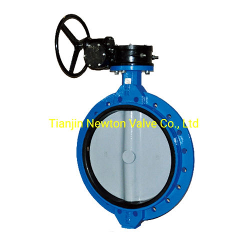 DN1200 Worm Gear Double Flange Manual Ductile Iron Butterfly Valve