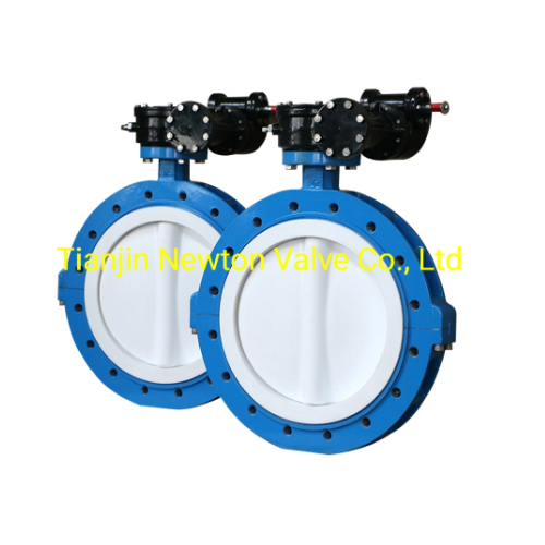 CF8m EPDM PTFE Seat Double Flange Butterfly Valve