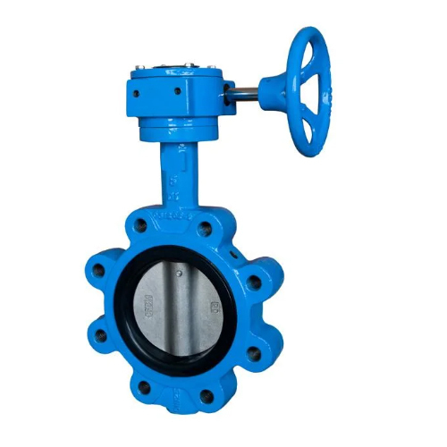 Pn10 Ductile Cast Iron Gear Box Soft Seal Lug Butterfly Valve for Marine
