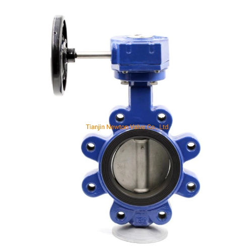 Manual Worm Gear Cast Iron Lug Type Centerline Middle Line PTFE Seat Butterfly Valve