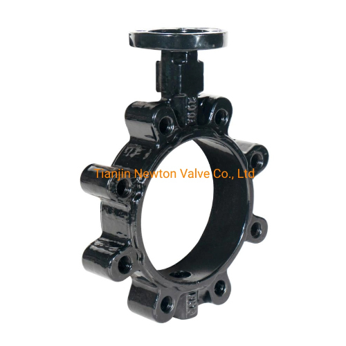 Ductile Iron Butterfly Valve Prices Lug Butterfly Valves
