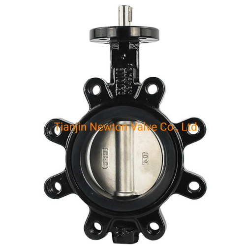 C95800 Full Lugged and Tapped Butterfly Valve