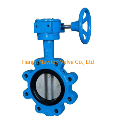 Cl150 Lugged and Tapped Butterfly Valve with Gear Box