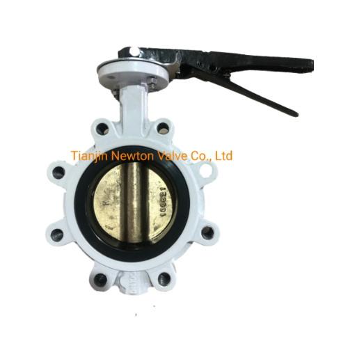 CF8m Body Worm Gear Operation Lug Type Butterfly Valve