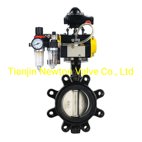 A536 API Lug Type Butterfly Valve with Tongue Groove Seat
