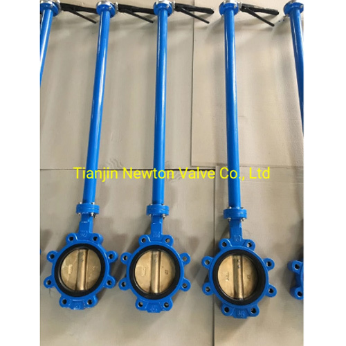 Lug Type Butterfly Valve With Extension Spindle