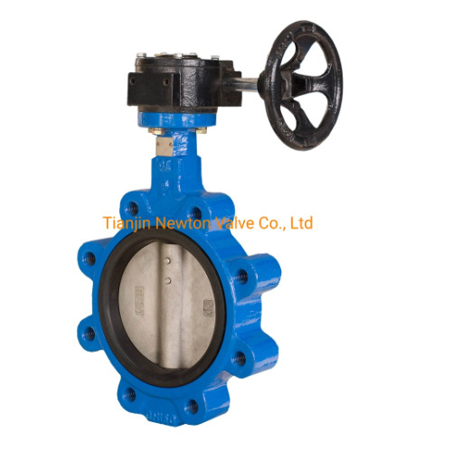 Cast Iron Body and Disc Replaceable EPDM Rubber Seat Lugged Type Butterfly Valve