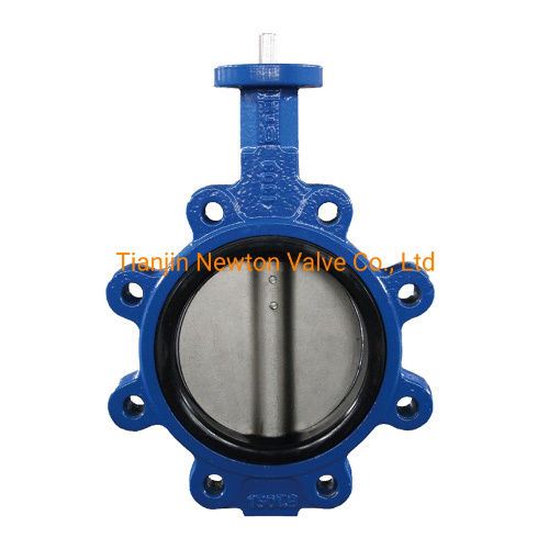 BS Tabled Table E Pn10 Pn16 Pn25 Lugged and Tapped Butterfly Valves