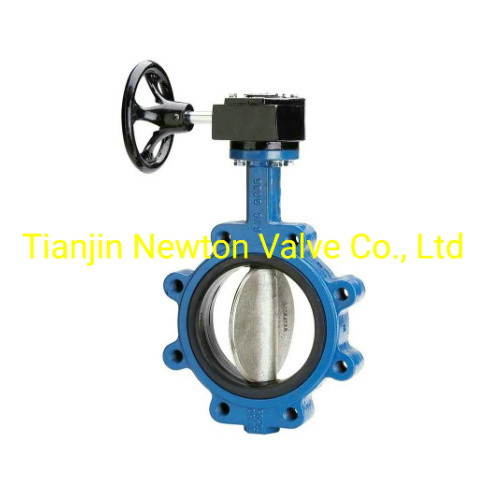 BS10 Table D Table E Ci Di Ss Lugged Butterfly Valve