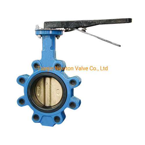 Lug Type Butterfly Valve for Marine with Hand Lever