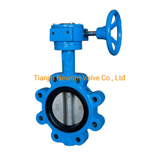As2129 D E Pn16 Lugged Butterfly Valve With SS Disc