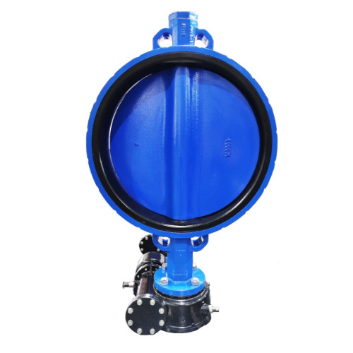 PTFE Coated Disc Butterfly Valve