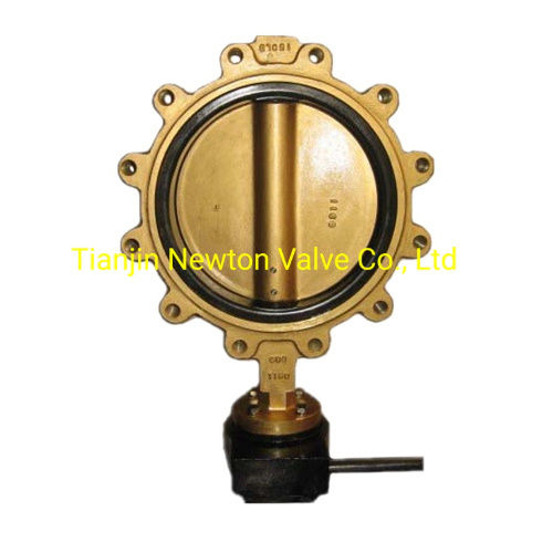 150lb Industrial Electric Cast Iron Full Lug Rubber Seat Butterfly Valve