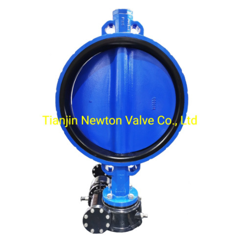 Without Pin Wafer Butterfly Valve with Nylon 11 Risan Painting Coating Disc