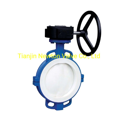 Universal Connection Standard PTFE Fully Coated Butterfly Valve with Centre Wheel Worm Gear